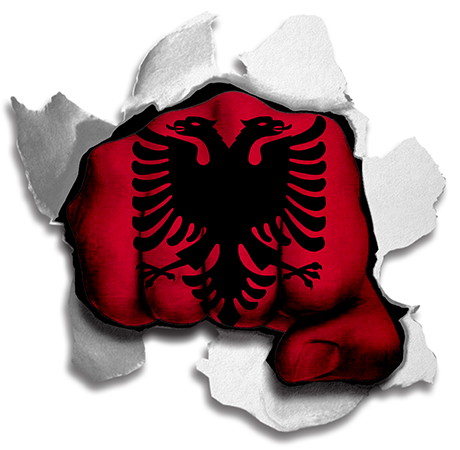 Fist Albania Flag Logo vinyl decal